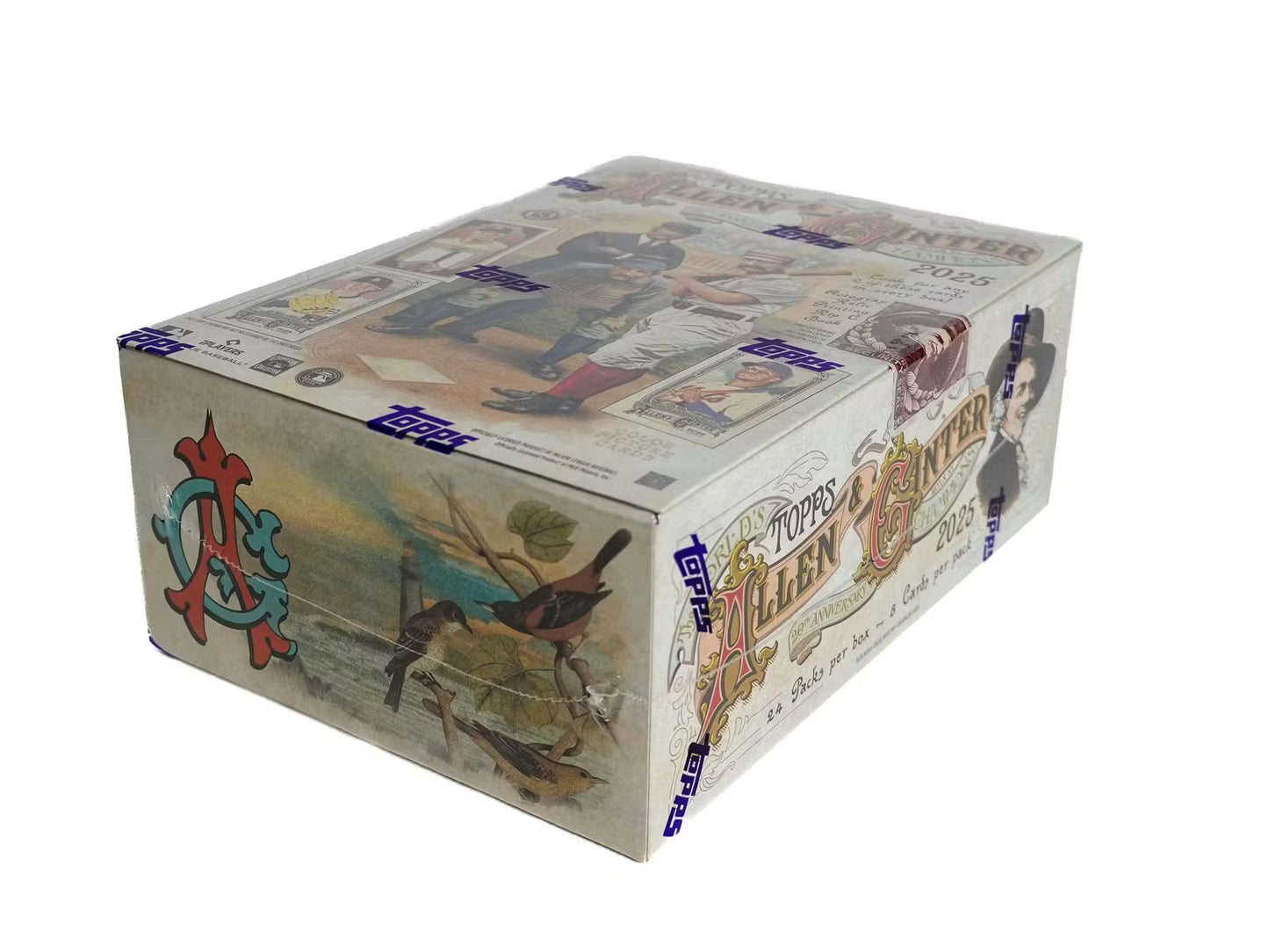 2025 Topps Allen & Ginter Baseball Hobby Box Personal Break